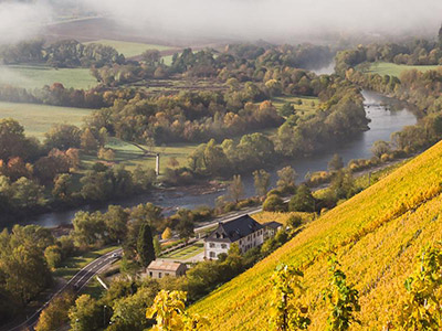 kanzemer reimann weingut