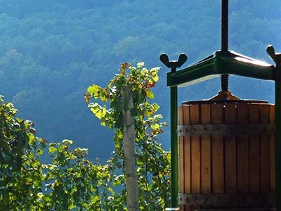 Weingüter aus Baden und Württemberg